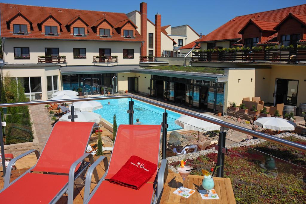 Ringhotel Hotel Zum Stein Oranienbaum-Woerlitz Extérieur photo